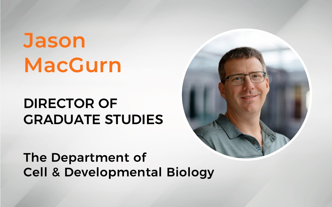 Jason MacGurn Director of Undergraduate Studies