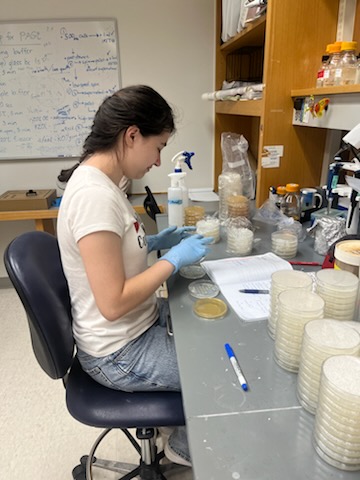 MacGurn Lab Research