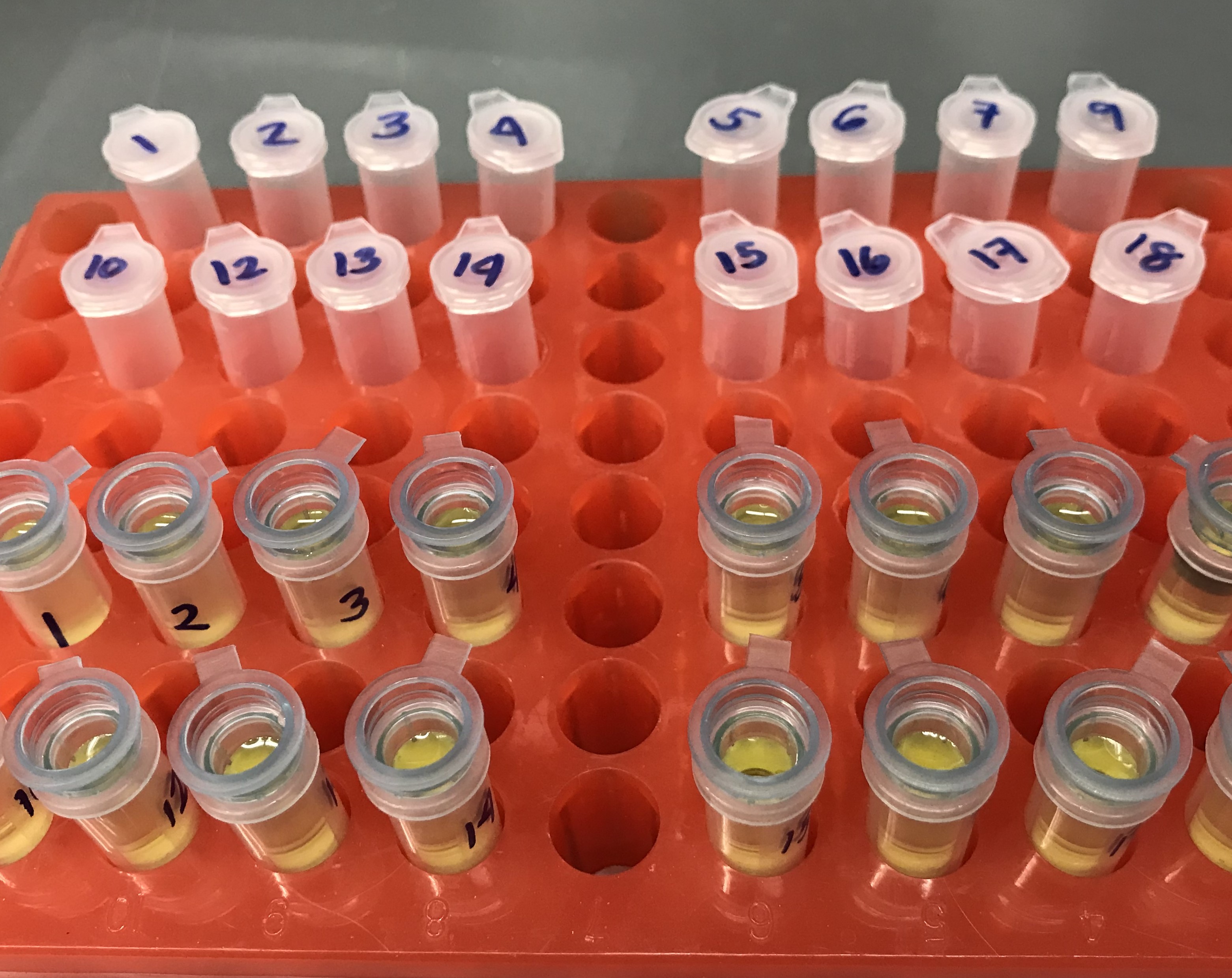 Join us at MacGurn Lab