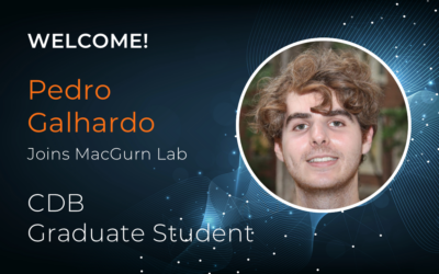 Welcome Pedro Galhardo!