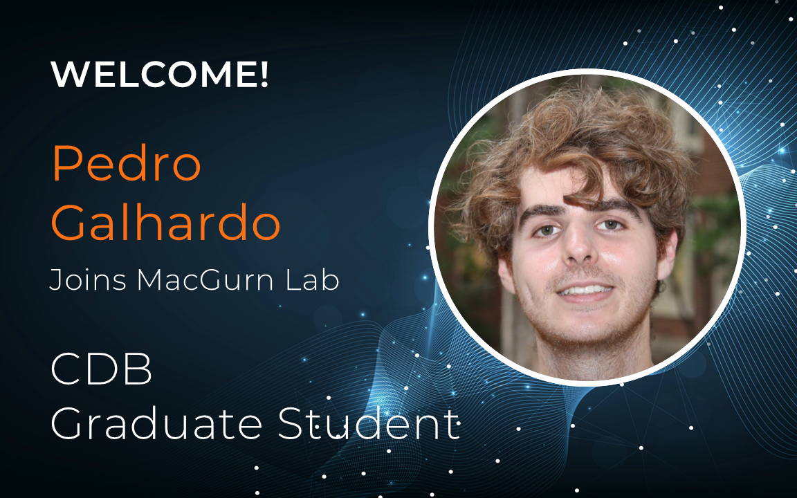 Welcome Pedro Galhardo Welcome Pedro Galhardo